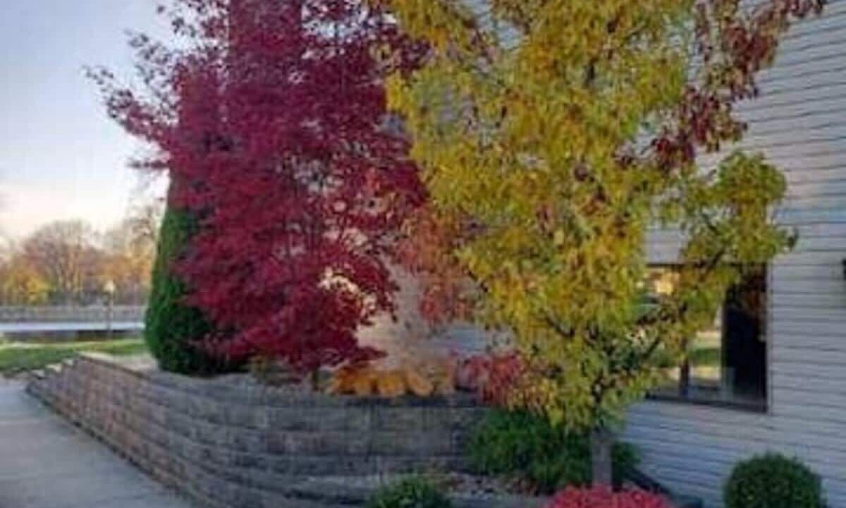 Photo of Outdoor in Niles