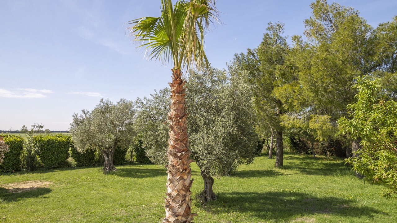 Photo of Outdoor in Piolenc