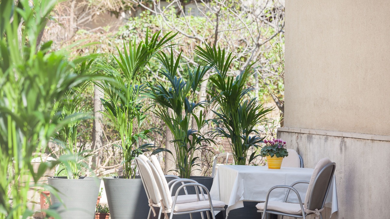 Photo of Patio Balcony in Makarska Old Town