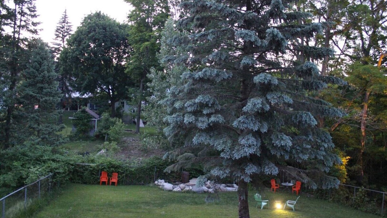 Photo of Outdoor in Orillia