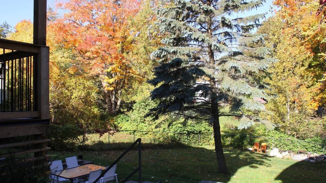 Photo of Outdoor in Orillia