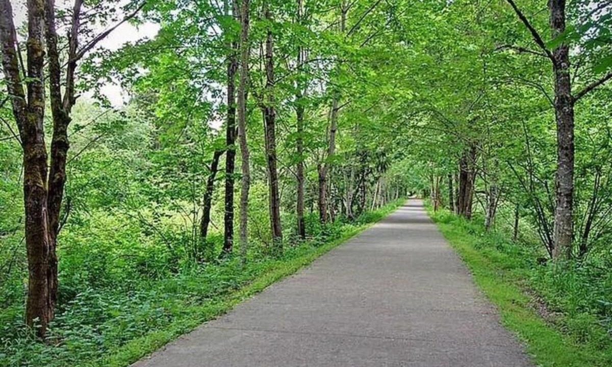 Photo of Others in Olde Town