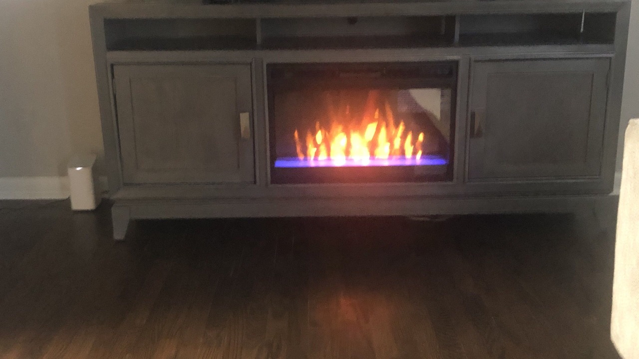 Photo of Others in Forest Park