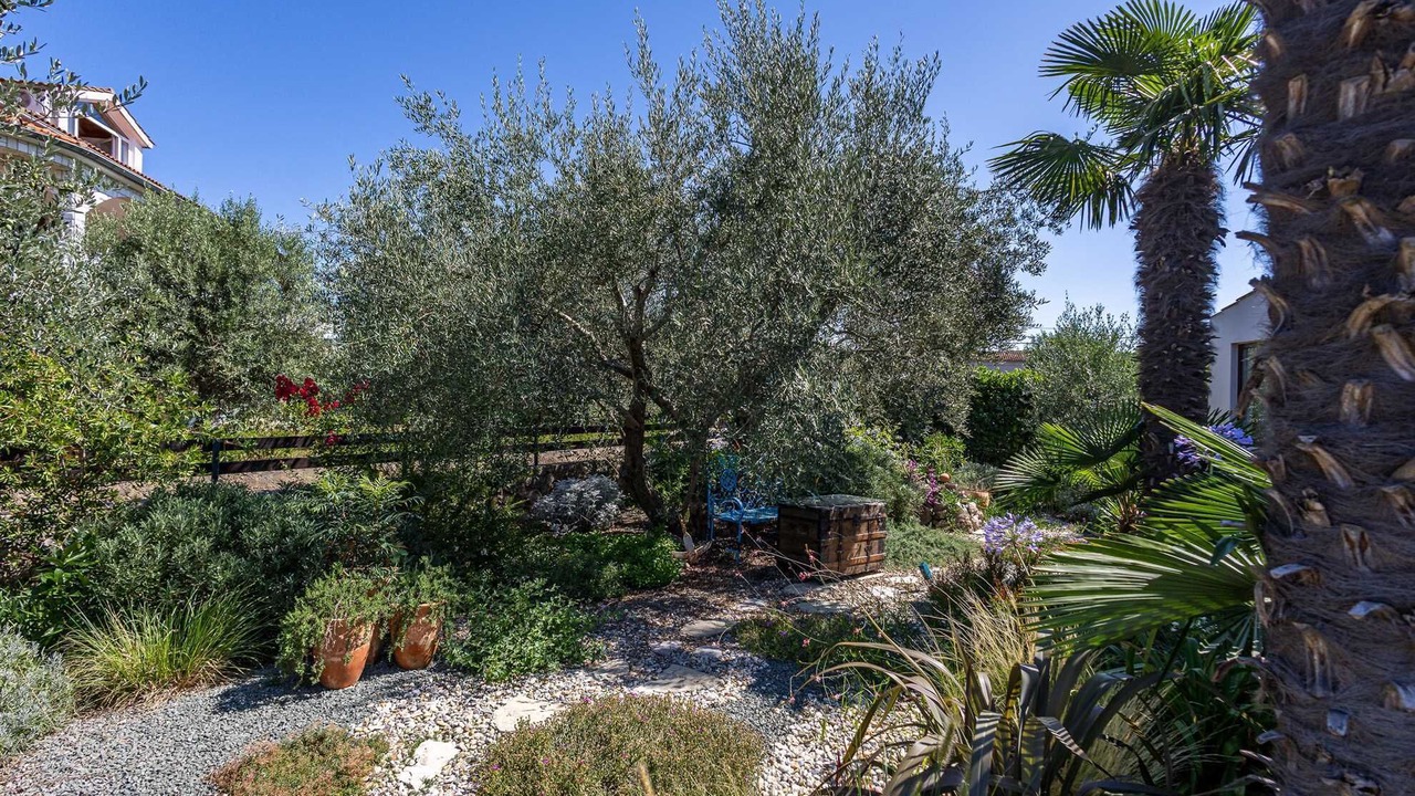 Photo of Outdoor in Milovcici