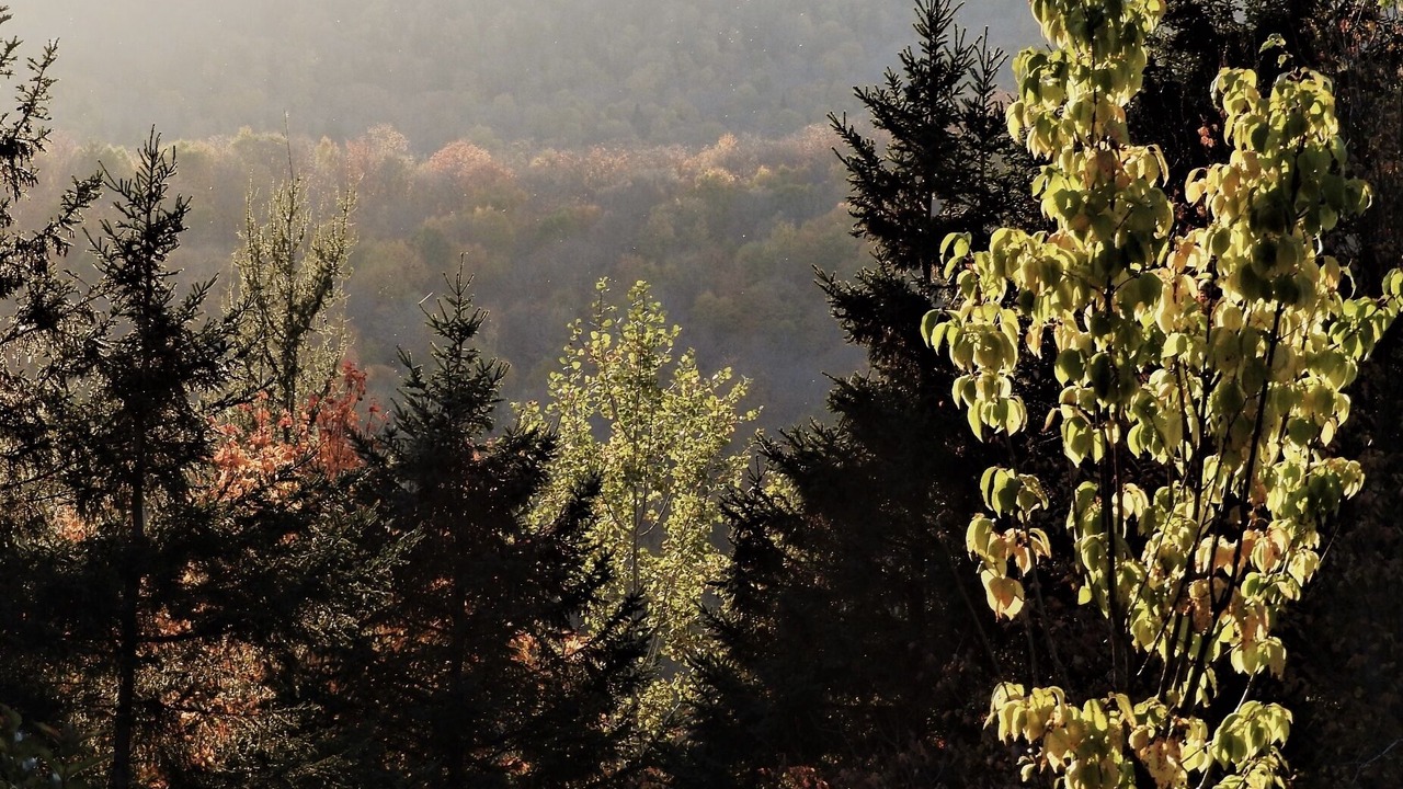 Photo of Outdoor in Saint-Brigitte-de-Laval