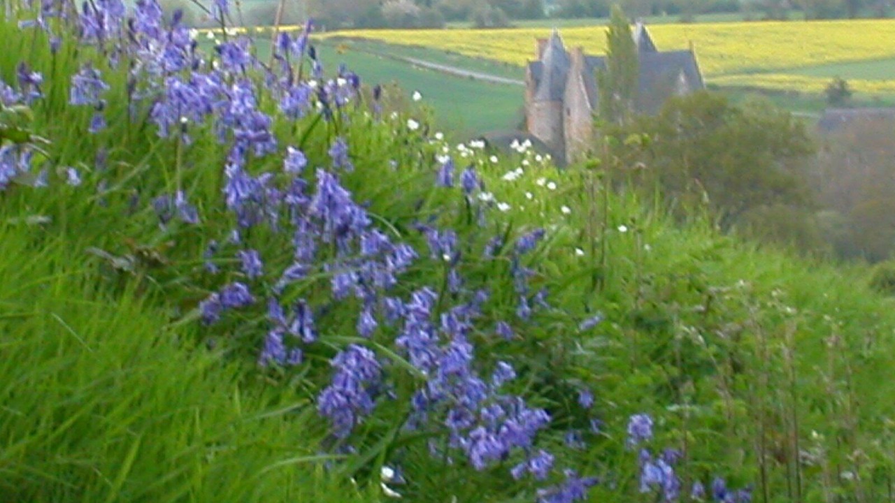 Photo of Others in Saint-Germain-de-Coulamer