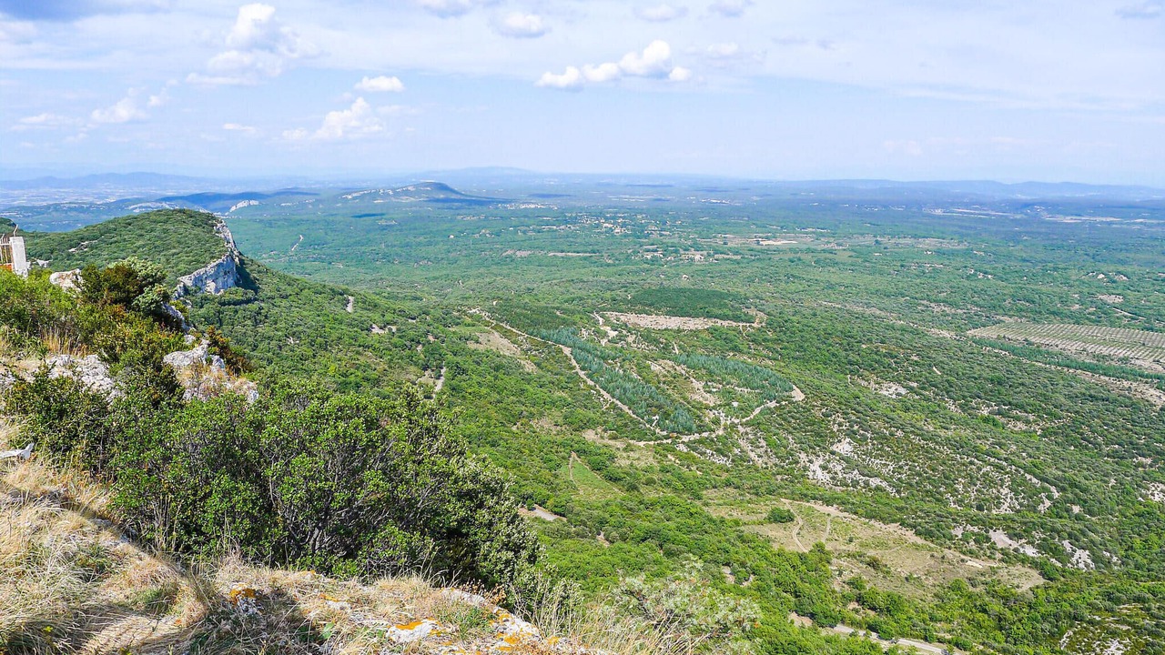 Photo of Others in Bordezac