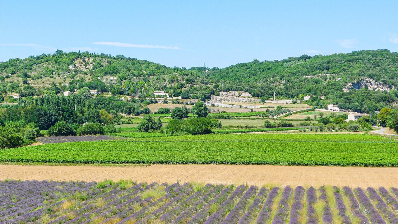 Photo of Others in Bordezac