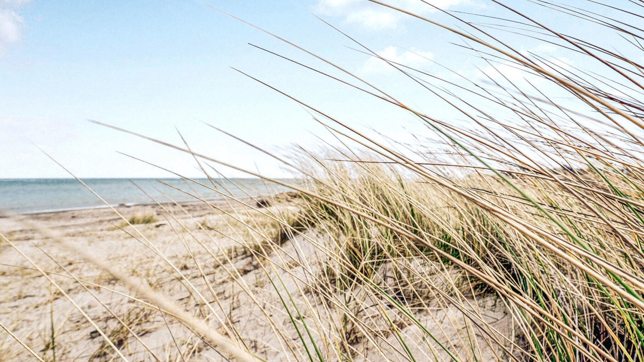 Photo of Others in Grena Strand