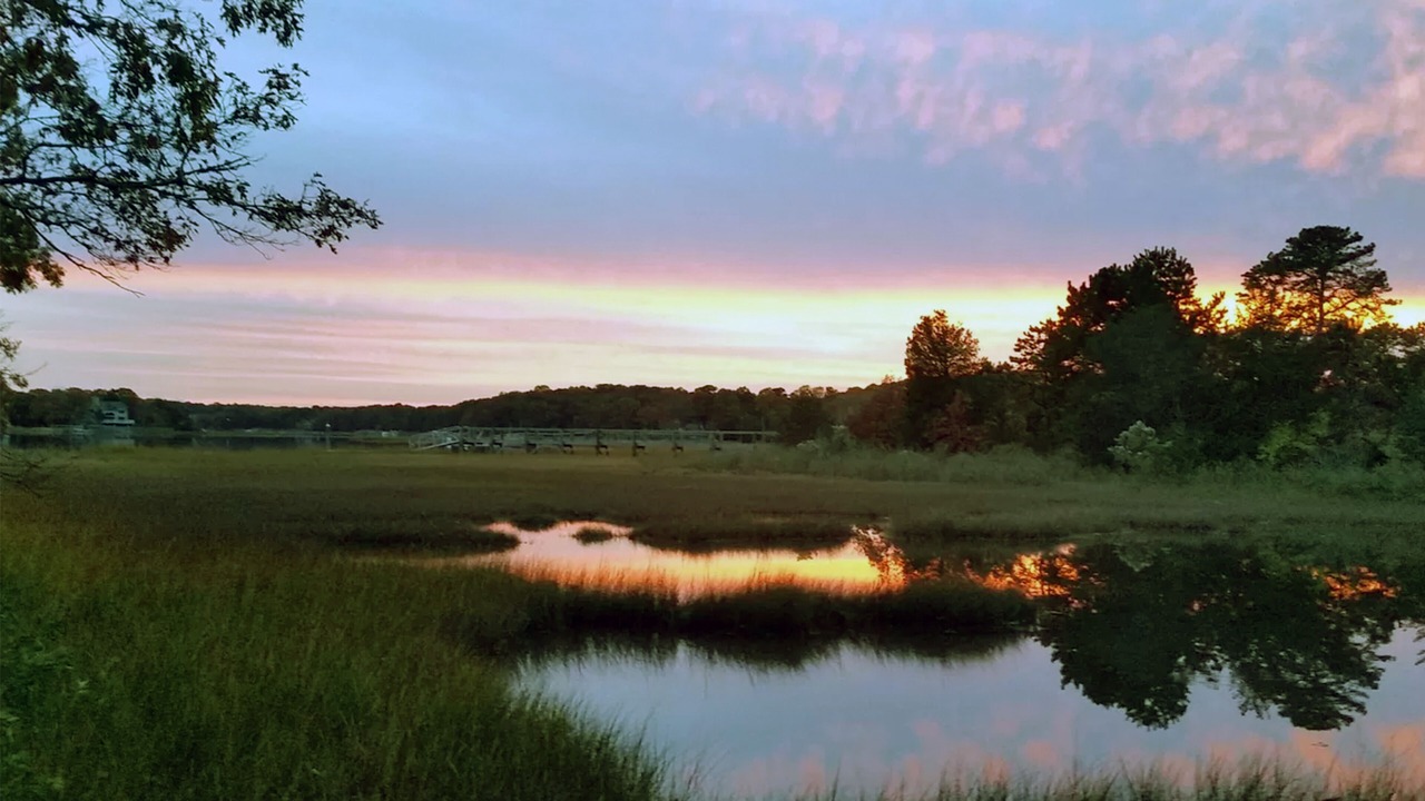 Photo of Others in Mashpee