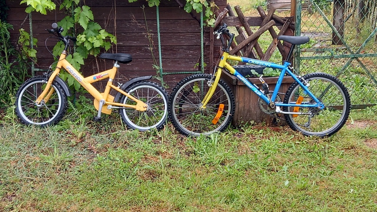 Photo of Outdoor in Sainte-Eulalie-en-Born