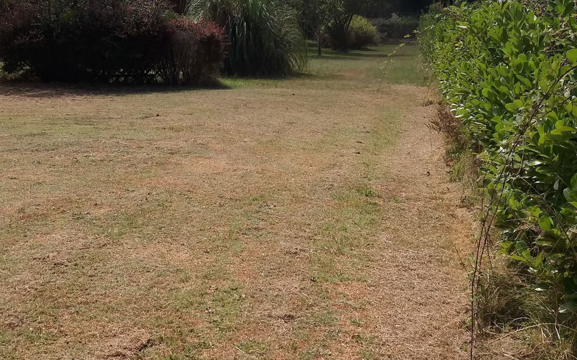 Photo of Outdoor in Sainte-Eulalie-en-Born