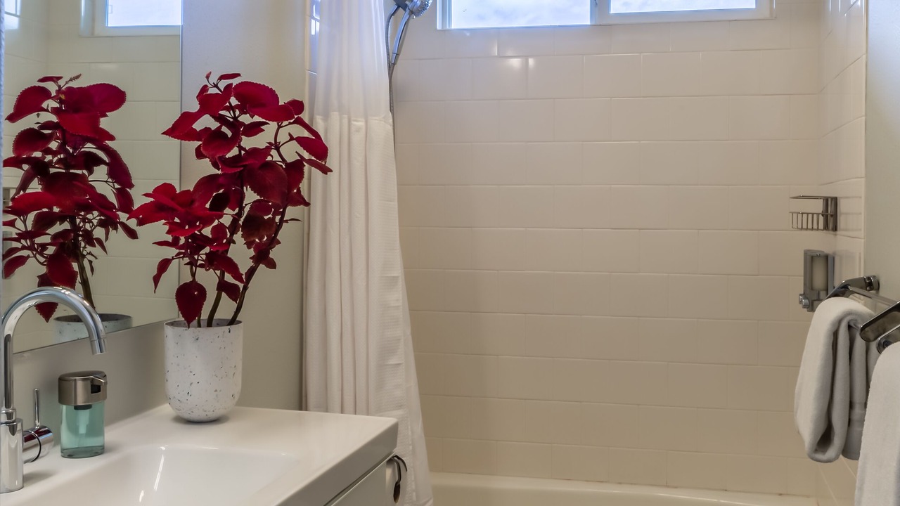 Photo of Others in Pupukea