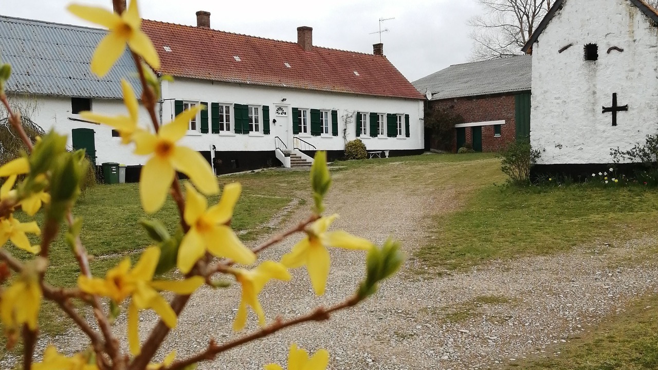 Photo of Outdoor in Conchil-le-Temple