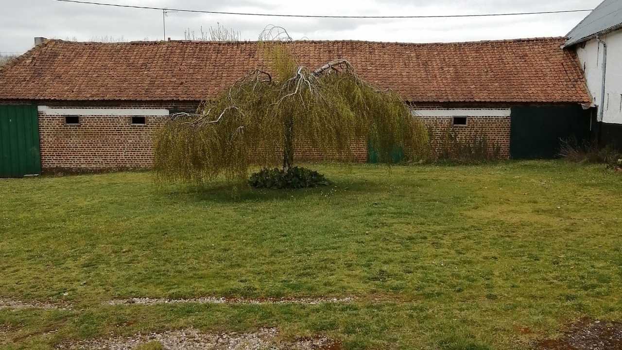 Photo of Outdoor in Conchil-le-Temple