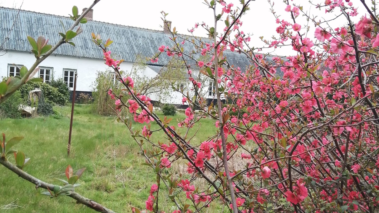 Photo of Outdoor in Conchil-le-Temple