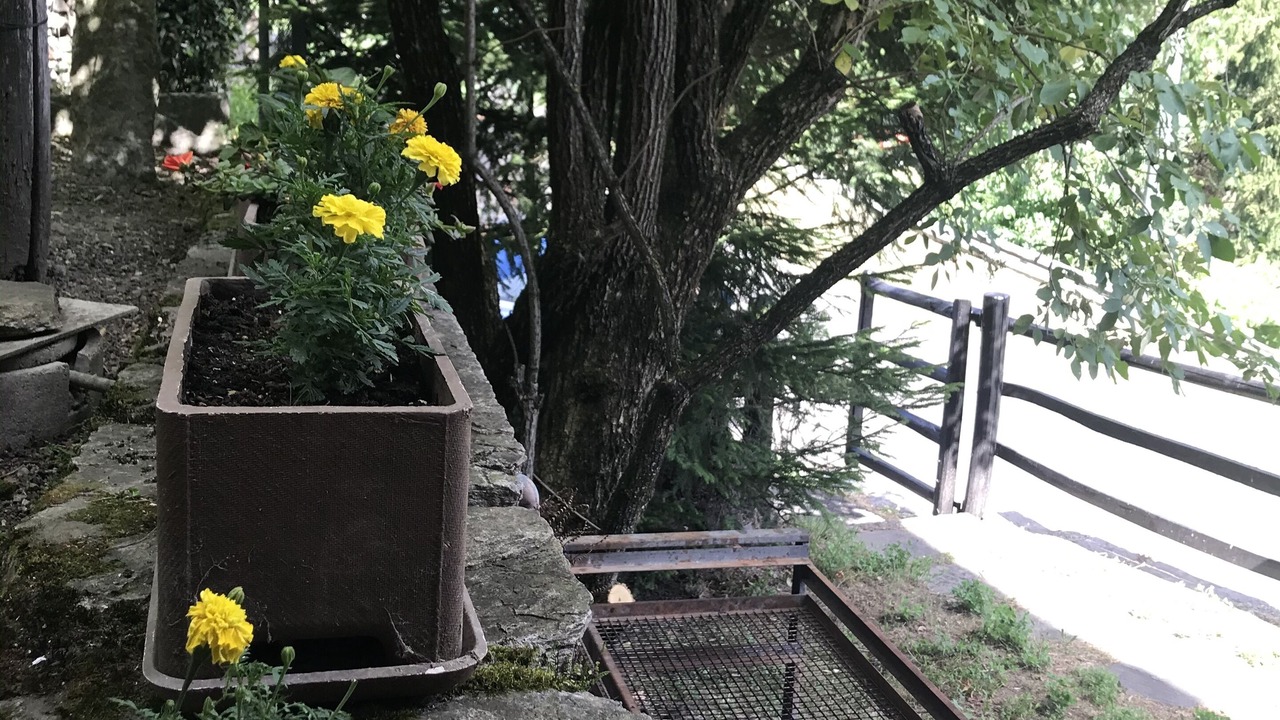 Photo of Outdoor in Malvaglia-dagro