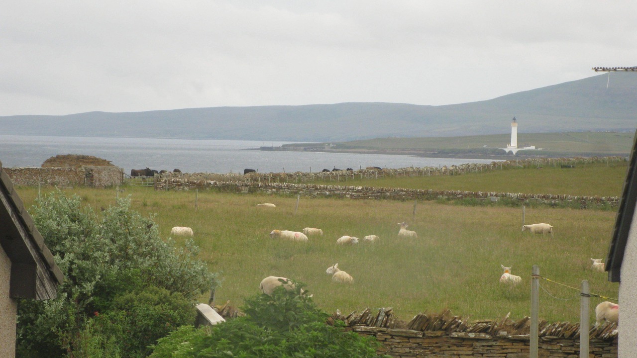 Photo of Others in Stromness