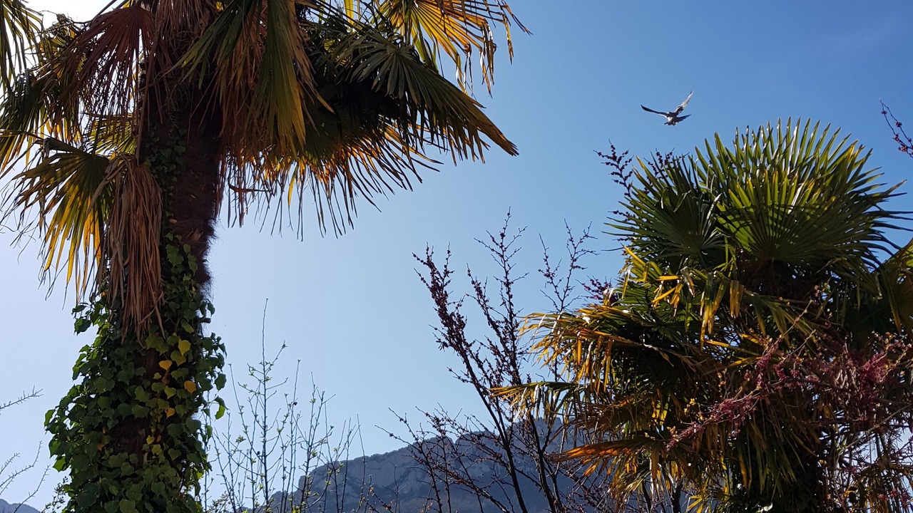 Photo of Outdoor in Buis-les-Baronnies