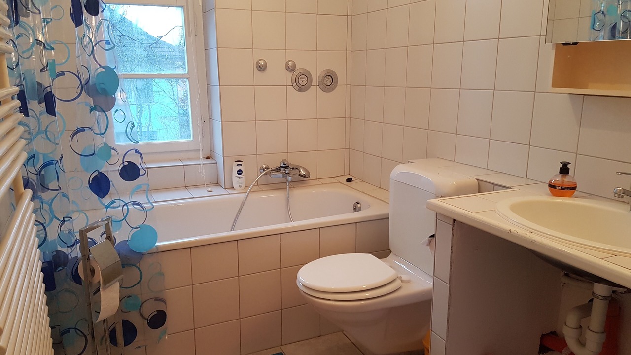 Photo of Bathroom in Romanshorn