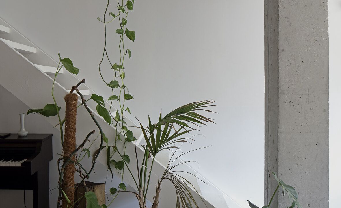 Photo of Others in Nansouty-Saint-Genes