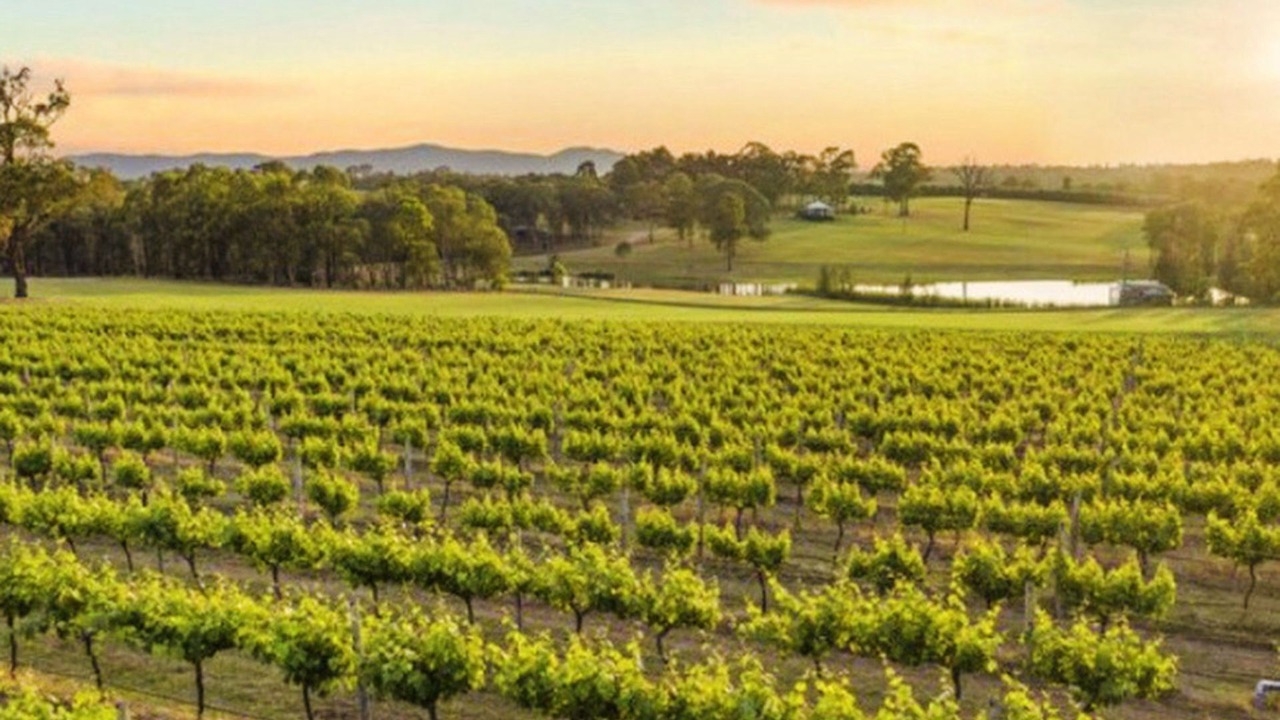 Photo of Others in Belford