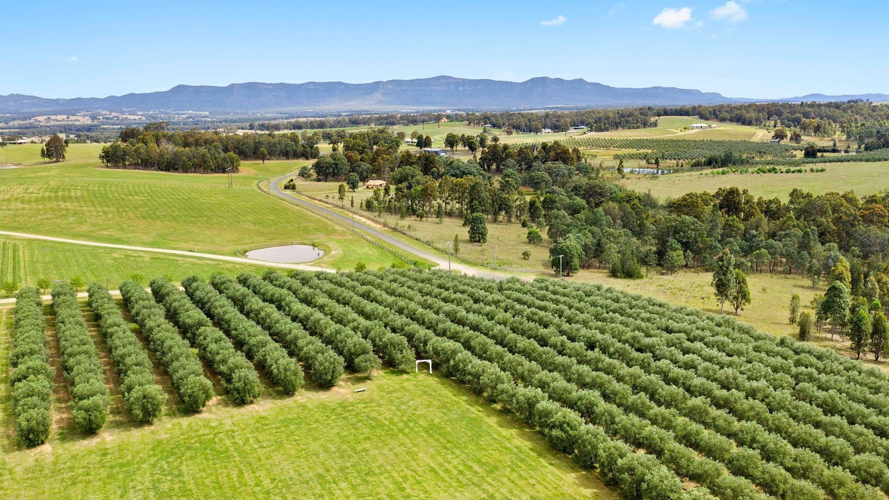 Photo of Others in Belford