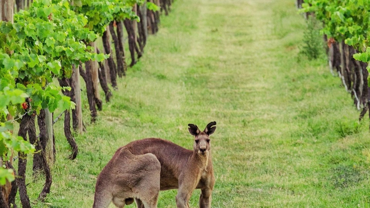 Photo of Outdoor in Belford