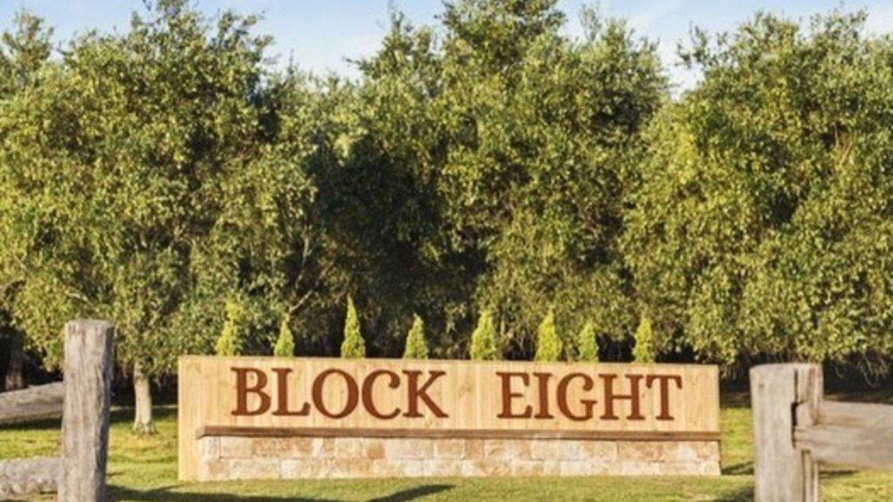 Photo of Others in Belford