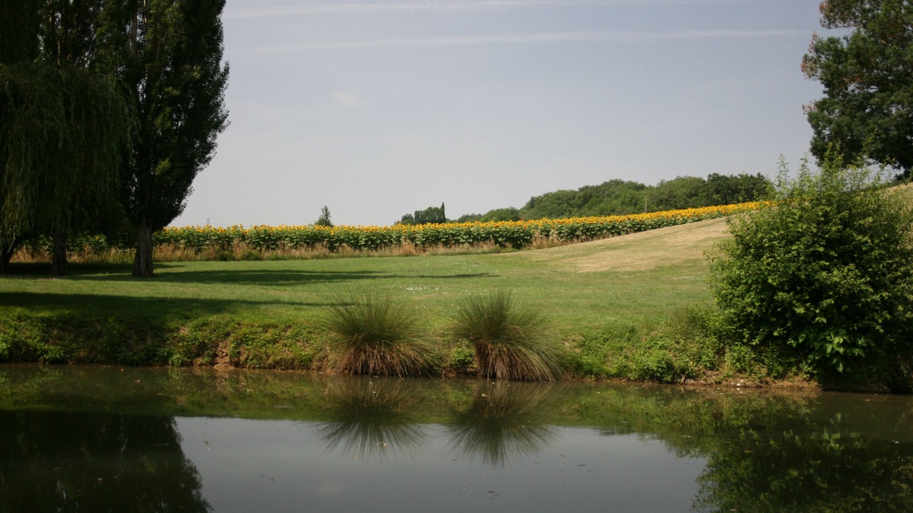 Photo of Outdoor in Auvillar