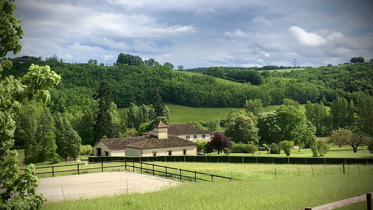Photo of Outdoor in Auvillar