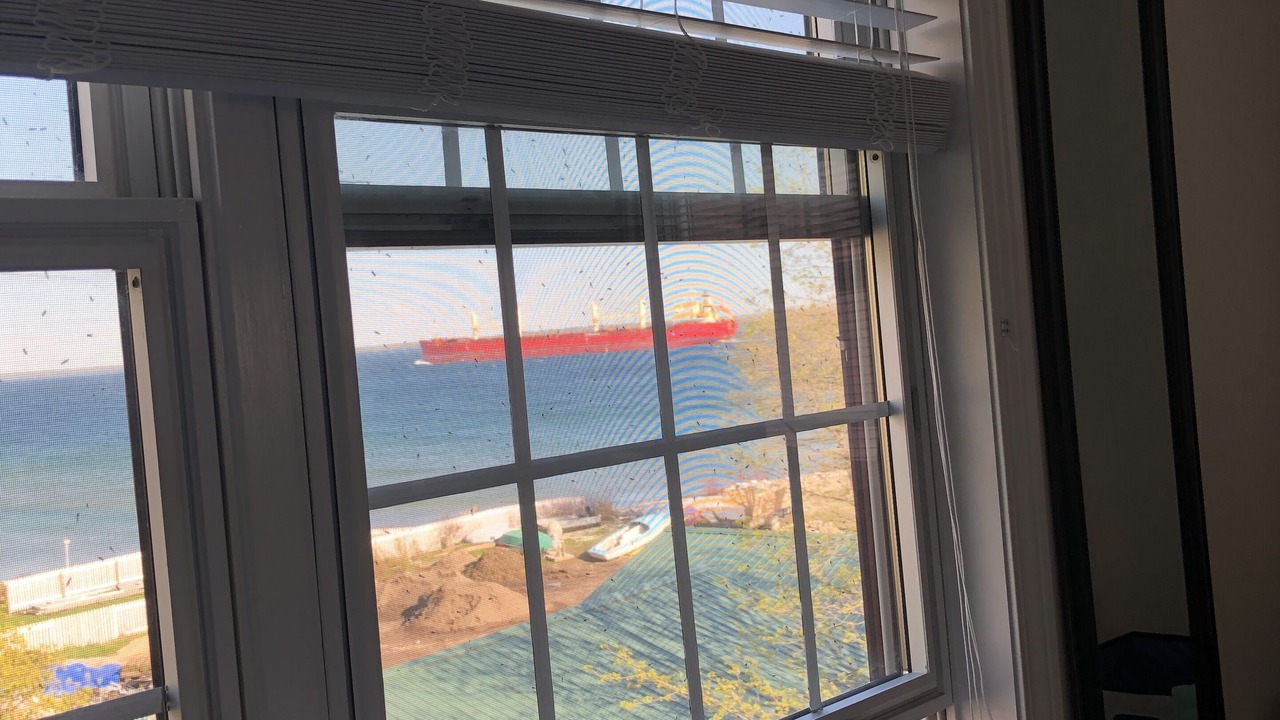 Photo of Others in Mackinac Island
