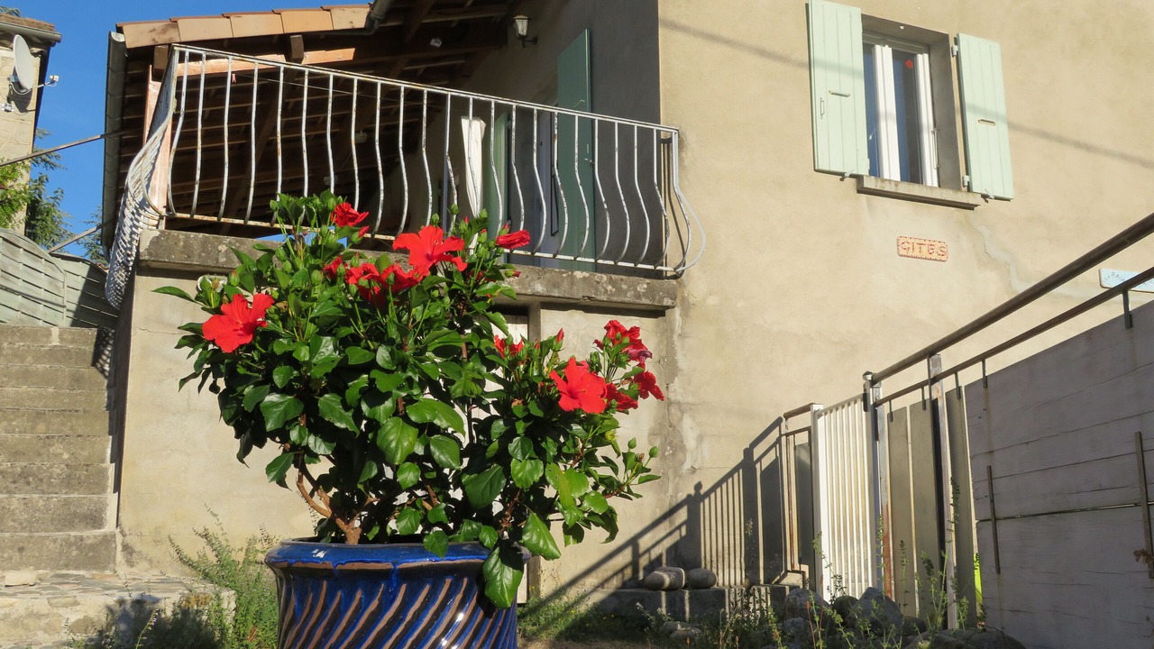 Photo of Outdoor in Saint-Paul-le-Jeune