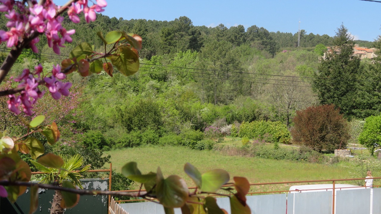 Photo of Outdoor in Saint-Paul-le-Jeune