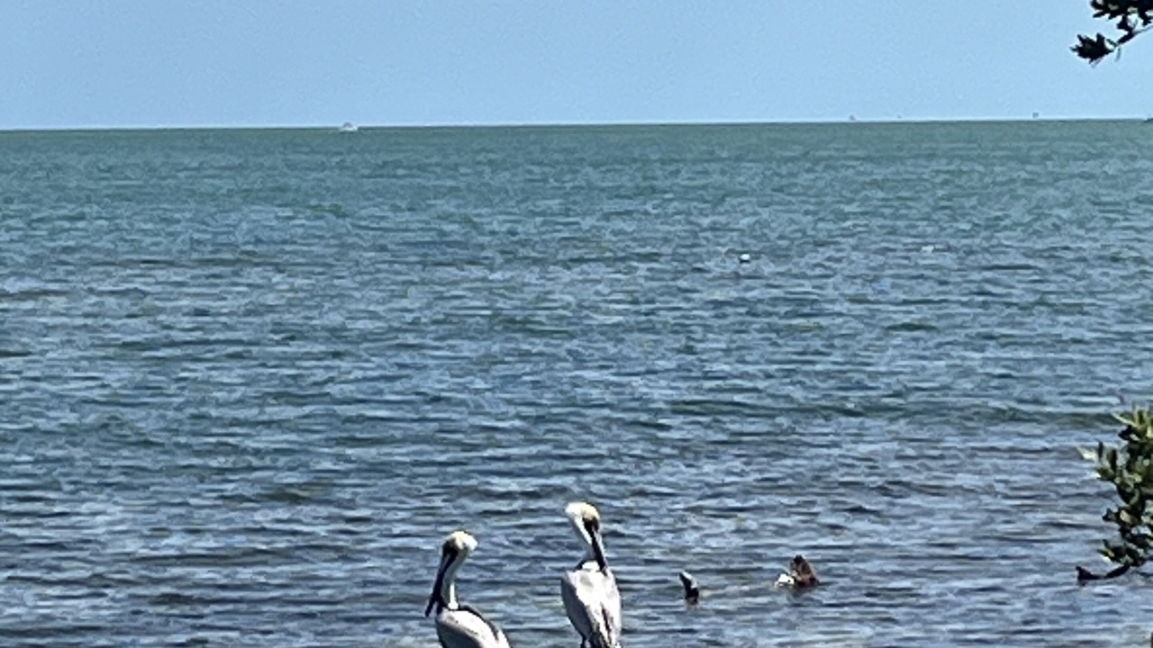 Photo of Others in Breezeswept Beach Estates