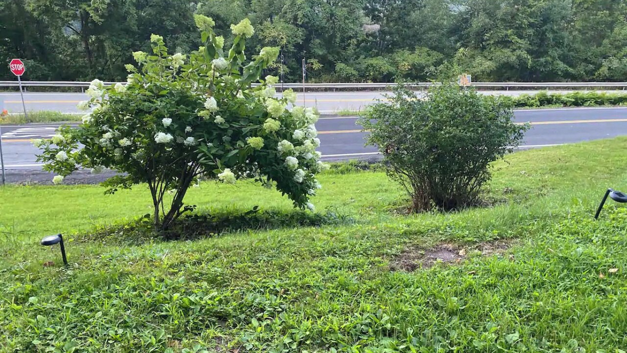 Photo of Outdoor in Cochecton