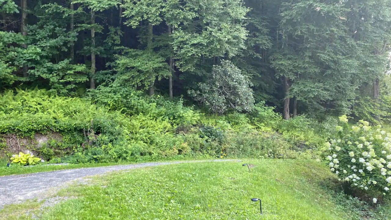 Photo of Outdoor in Cochecton