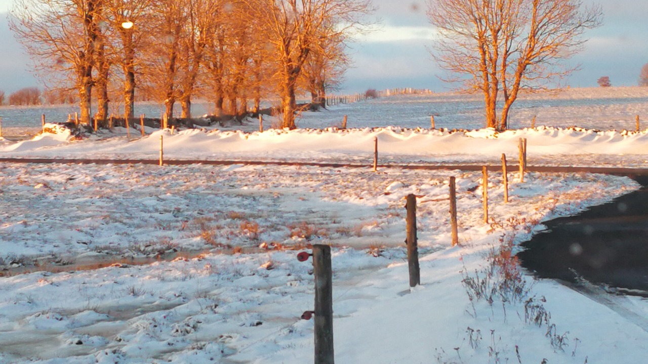 Photo of Outdoor in Neuveglise-sur-Truyere