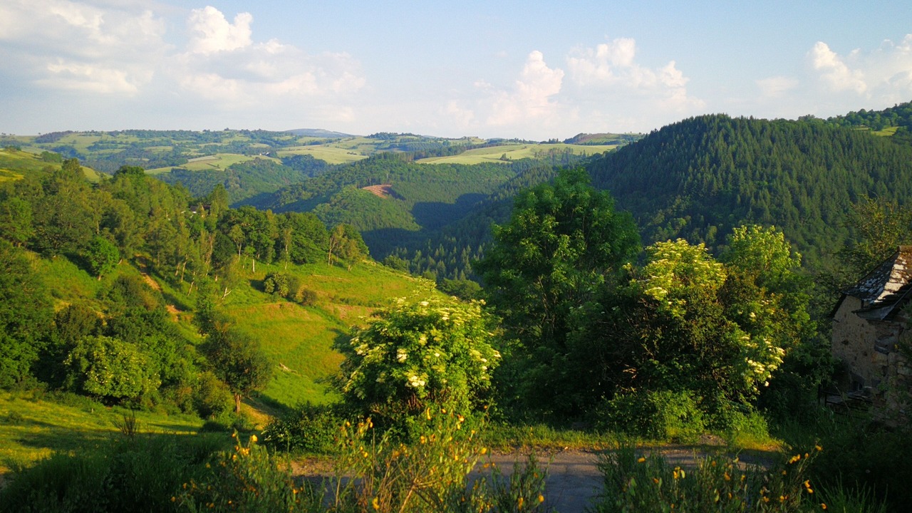 Photo of Others in Neuveglise-sur-Truyere