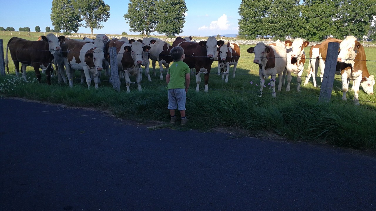 Photo of Others in Neuveglise-sur-Truyere