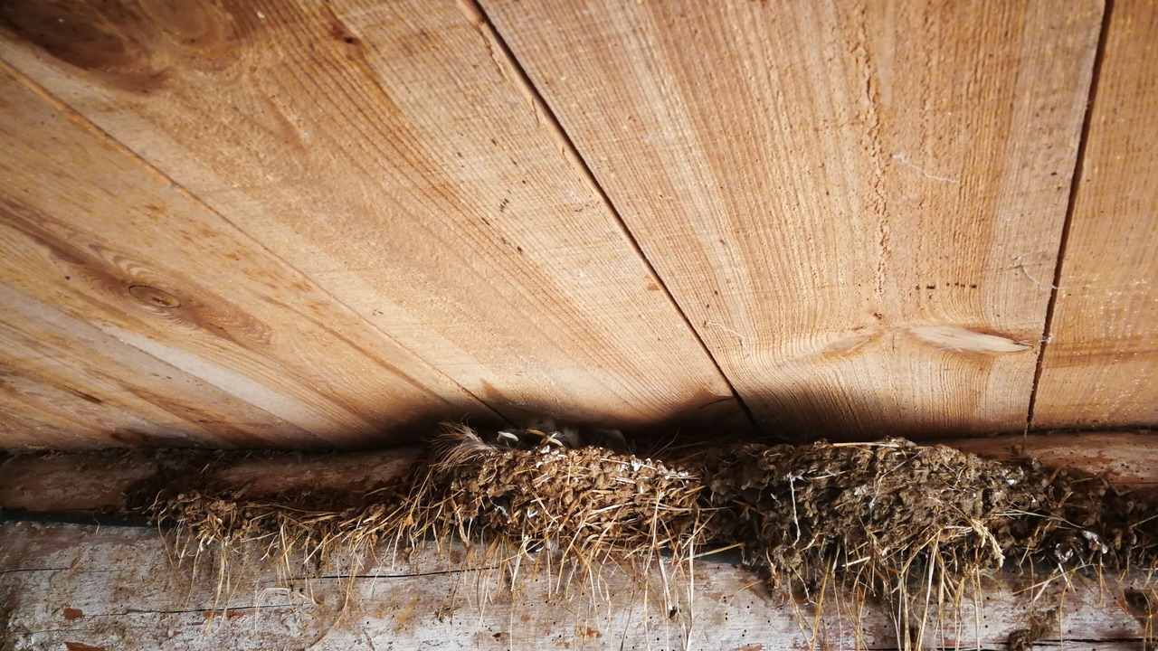 Photo of Others in Neuveglise-sur-Truyere