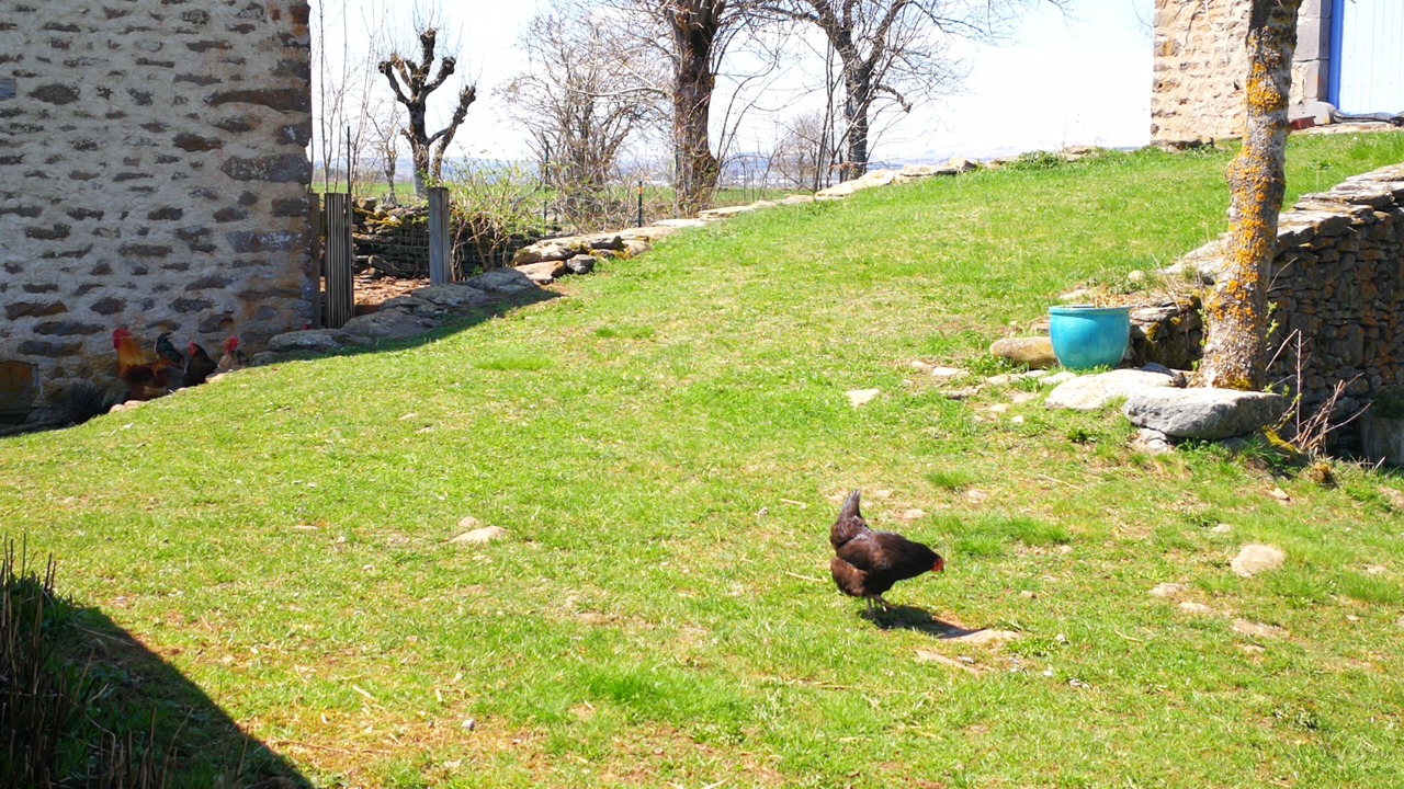 Photo of Outdoor in Neuveglise-sur-Truyere