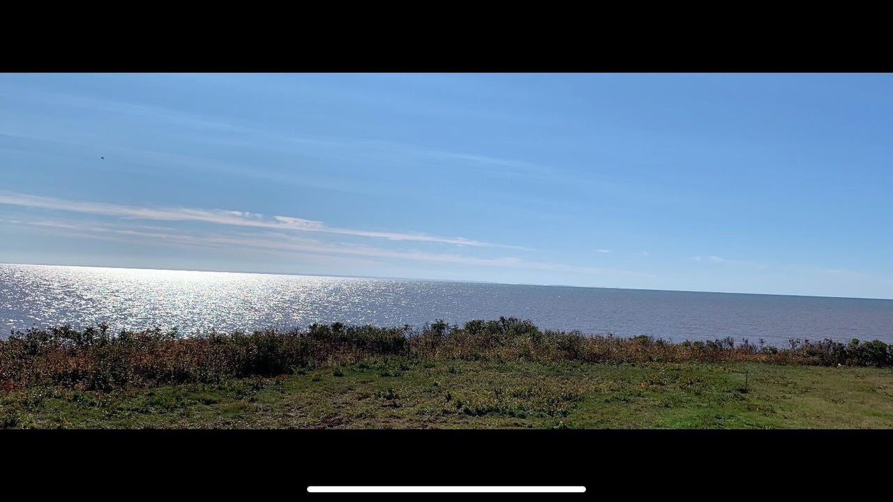 Photo of Others in Bonshaw