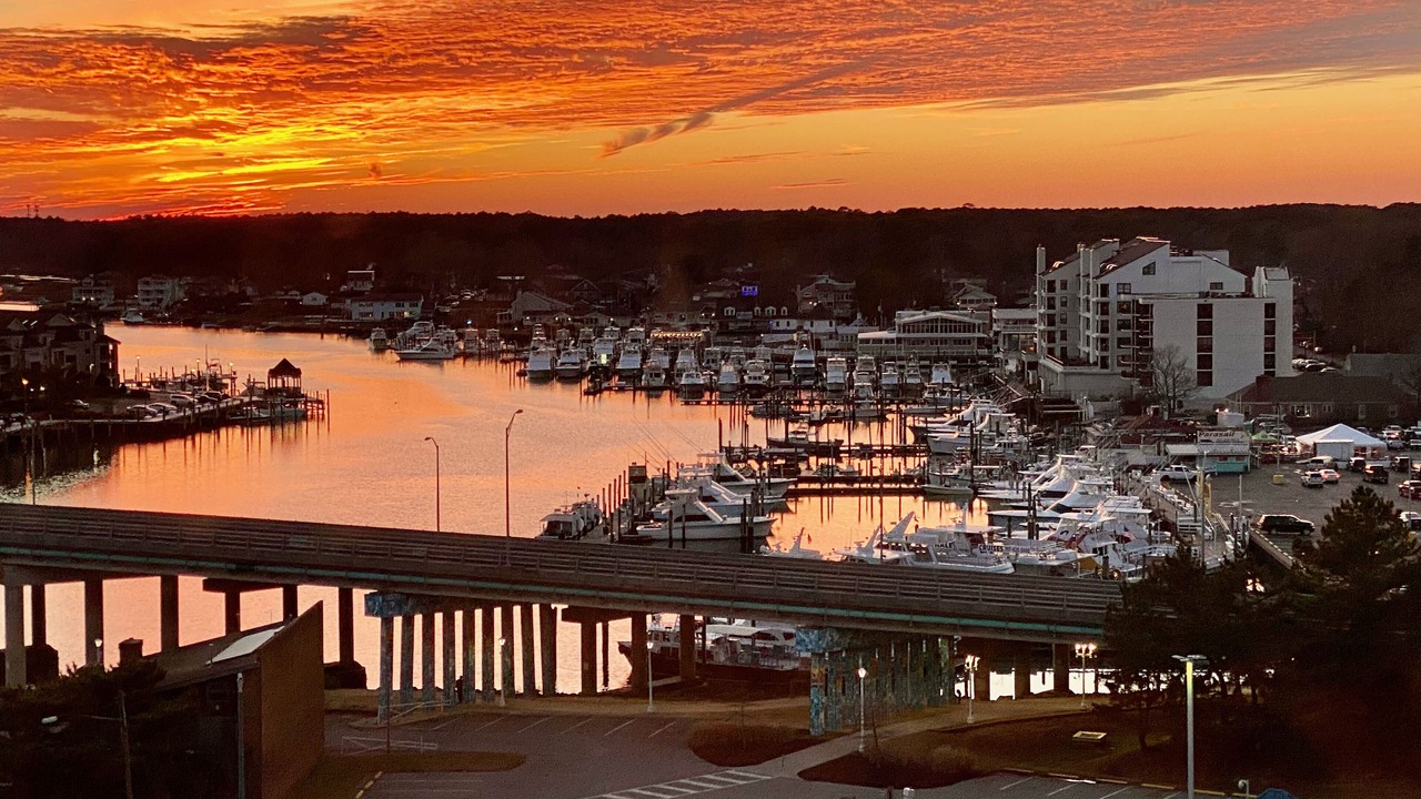 Photo of Others in Northeast Virginia Beach