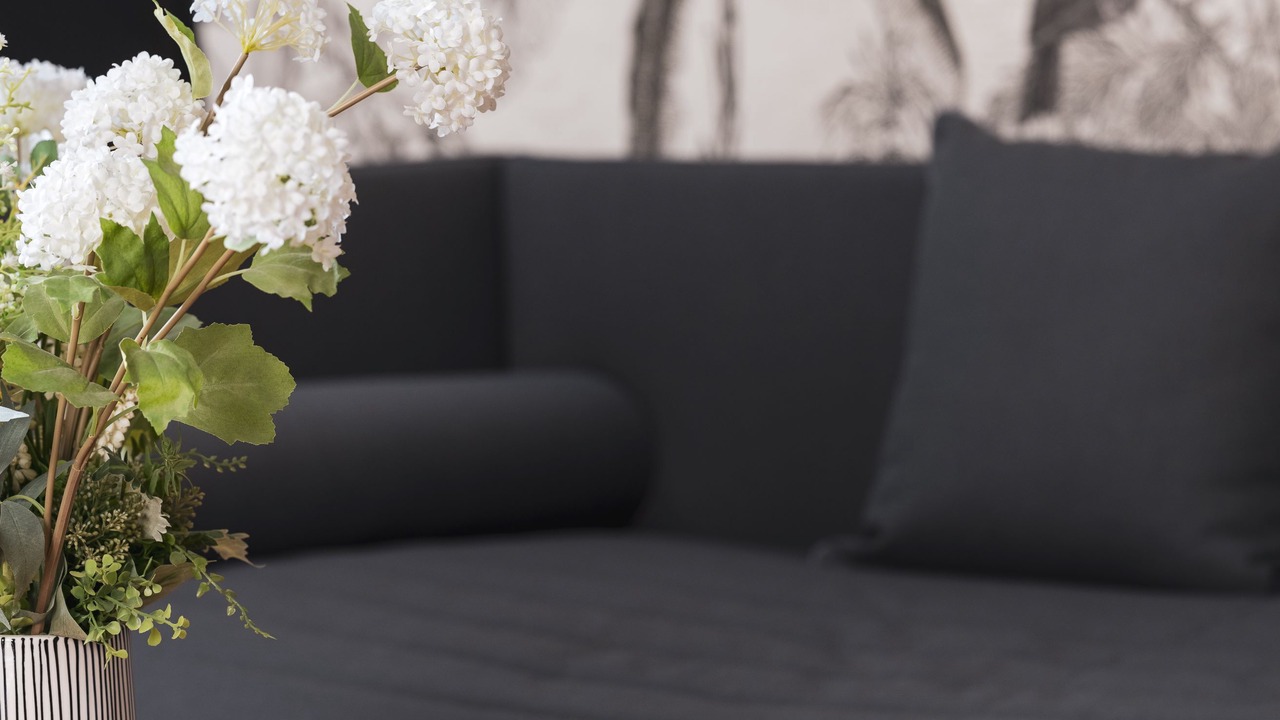 Photo of Livingroom in Graslin - Commerce
