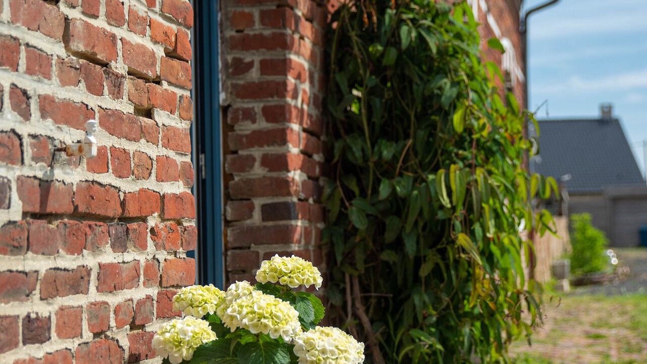 Photo of Outdoor in Bailleul