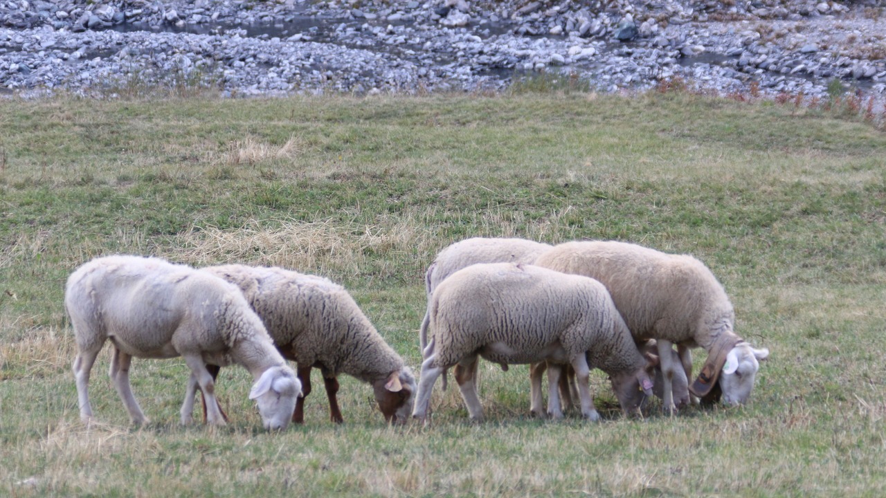 Photo of Outdoor in Saint-Veran