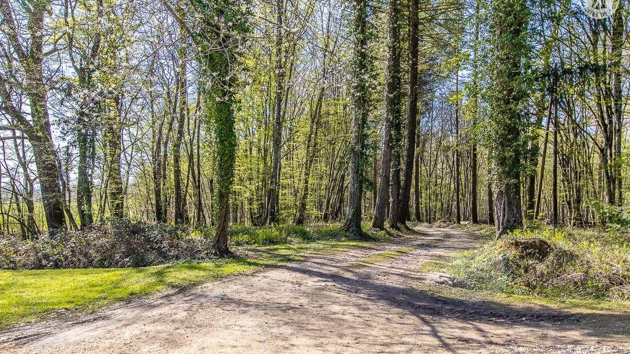 Photo of Outdoor in Mouthier-en-Bresse