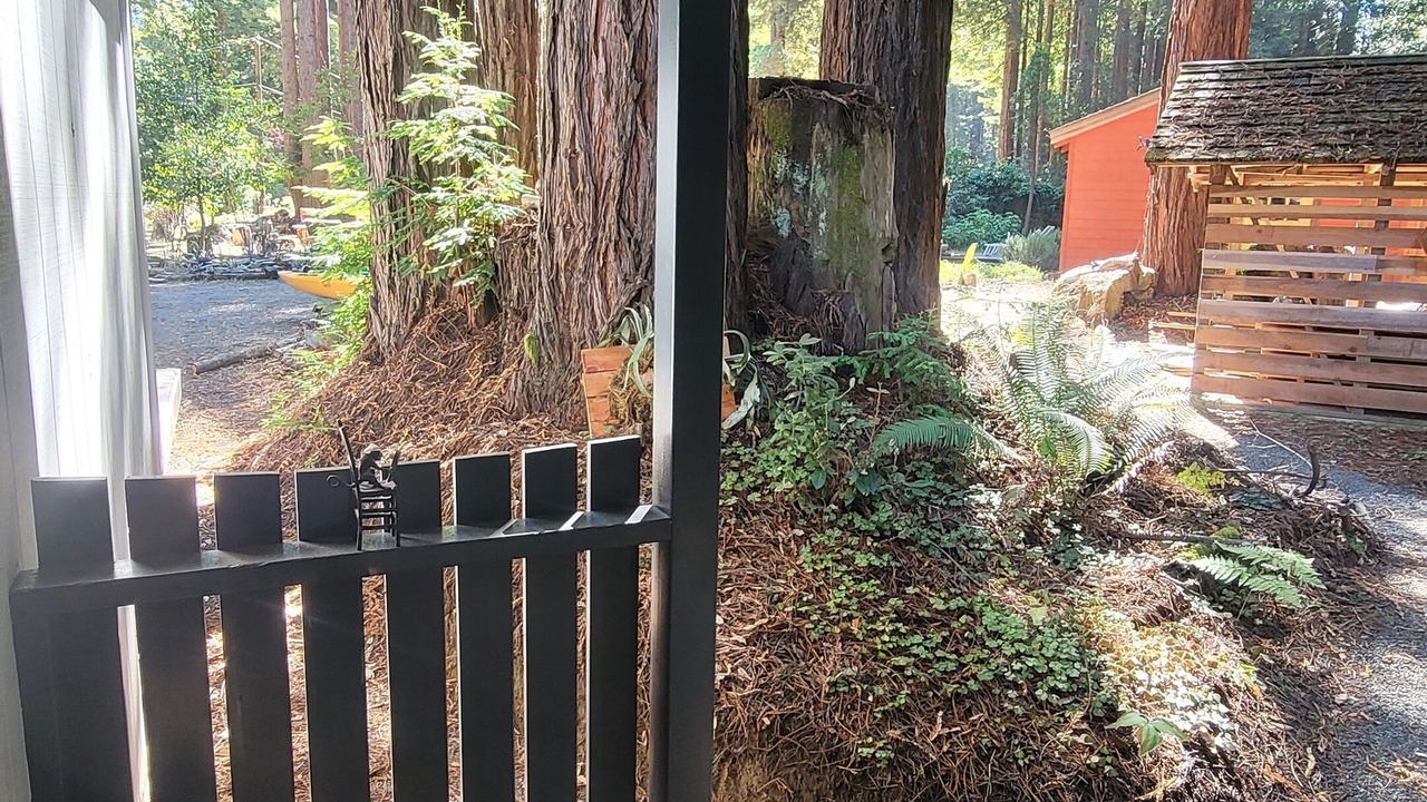Photo of Outdoor in Fort Bragg