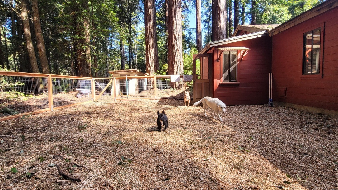 Photo of Others in Fort Bragg